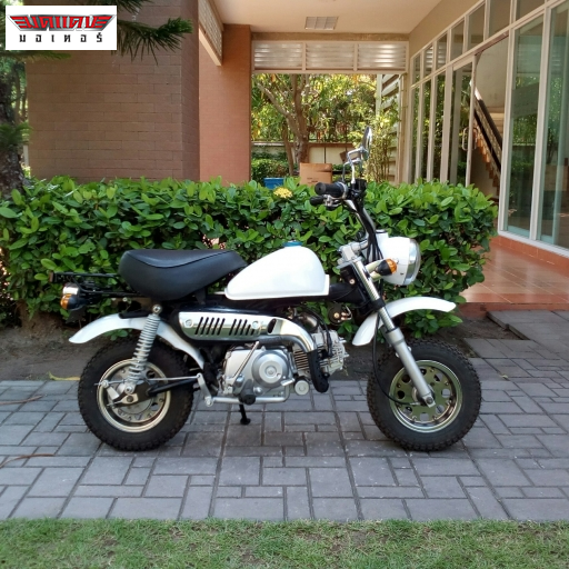 GORILA 125